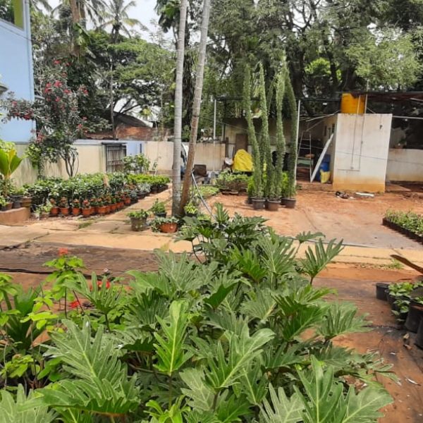 WhatsApp Image 2022-05-03 at 8.15.18 PM