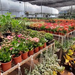 WhatsApp Image 2022-05-03 at 8.15.20 PM (1)